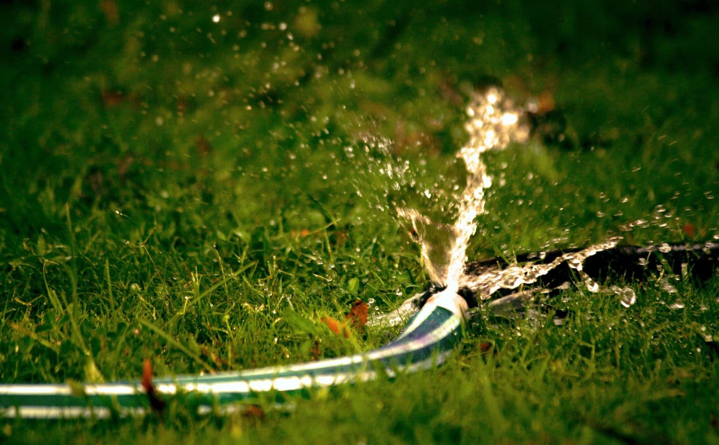 Burst Pipe Emergency in The Colony, TX - provider responding to an active service call