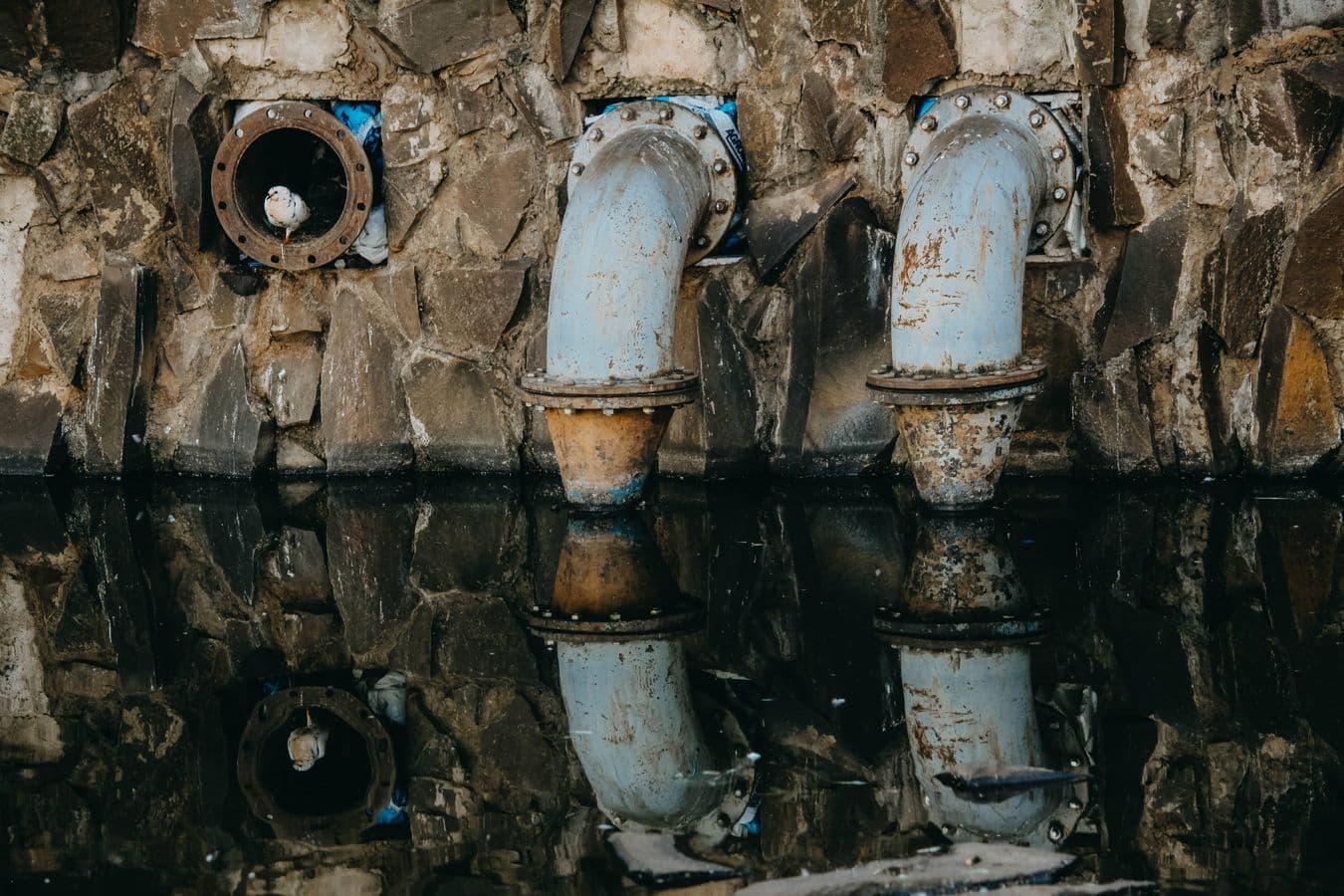 Main Sewer Line Clog in Fort Worth, TX - provider responding to an active service call